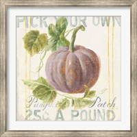 Framed Floursack Autumn VII