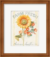 Framed 'Floursack Autumn IV' border=