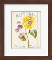 Framed 'Floursack Autumn III' border=