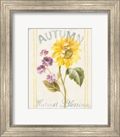 Framed 'Floursack Autumn III' border=