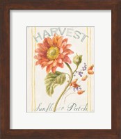 Framed 'Floursack Autumn II' border=