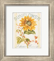 Framed 'Floursack Autumn I' border=