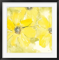 Sunshine Cosmos II Framed Print