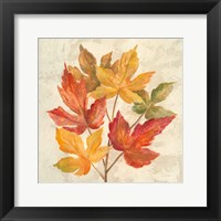 Framed 'November Leaves IV' border=