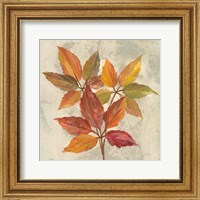 Framed November Leaves I