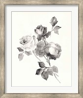 Framed Rose Blossoms Gray