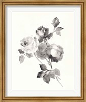 Framed Rose Blossoms Gray