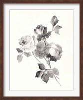 Framed Rose Blossoms Gray