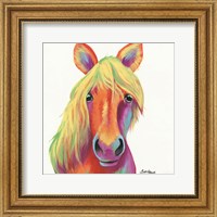 Framed Cheery Horse