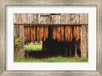 Framed Tobacco Barn