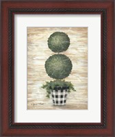 Framed Gingham Topiary Spheres