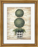 Framed Gingham Topiary Spheres