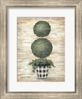 Framed Gingham Topiary Spheres