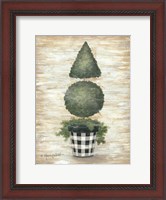 Framed Gingham Topiary Cone