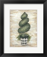 Framed Gingham Topiary Spiral