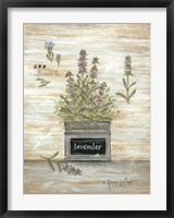 Framed Lavender Botanical