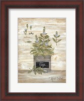 Framed Sage Botanical