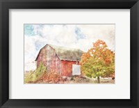 Framed Autumn Maple by the Barn