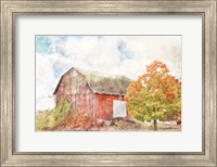 Framed Autumn Maple by the Barn