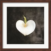 Framed Contemporary Floral Cala Lily