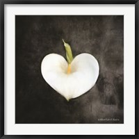 Framed Contemporary Floral Cala Lily