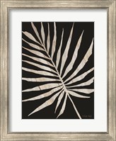 Framed Palm Frond Wood Grain IV