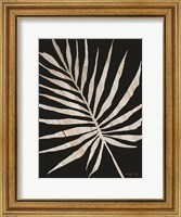 Framed Palm Frond Wood Grain IV