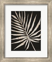 Framed Palm Frond Wood Grain IV