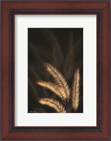 Framed Golden Grass I