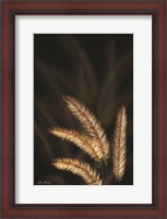 Framed Golden Grass I