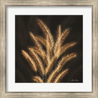 Framed Golden Grass II