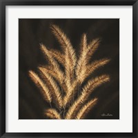 Framed Golden Grass II