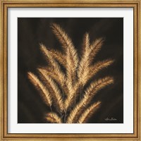 Framed Golden Grass II
