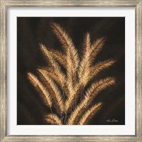 Framed Golden Grass II