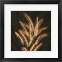 Framed Golden Grass II