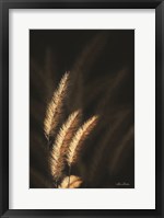 Framed Golden Grass III