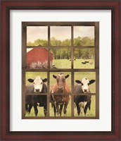 Framed Three Moo View