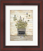 Framed Peppermint Botanical