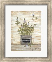 Framed Peppermint Botanical