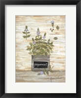 Peppermint Botanical Framed Print