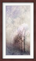 Framed First Light Winter Forest