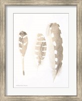 Framed Neutral Feathers Study