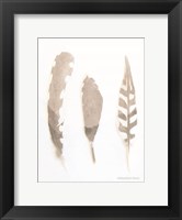 Framed Soft Feathers Study