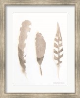 Framed Soft Feathers Study