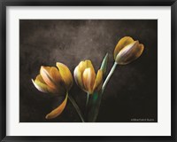 Framed Contemporary Floral Tulips