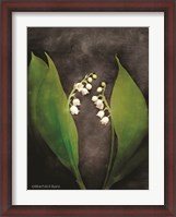 Framed Contemporary Floral Lily of the Valley