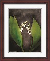 Framed Contemporary Floral Lily of the Valley