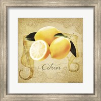 Framed 'Vintage Lemons Citron' border=