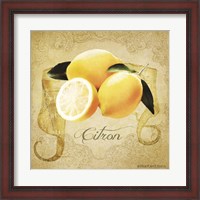Framed Vintage Lemons Citron