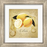 Framed Vintage Lemons Citron